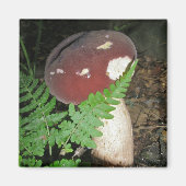 Velvet Mushroom Magnet (Voorkant)