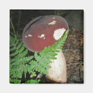 Velvet Mushroom Magnet
