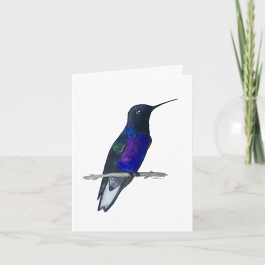 Velvet-paars Coronet Hummingbird Card Kaart (Voorkant)
