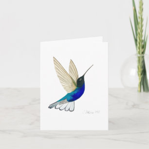 Velvet-paars Coronet Hummingbird Card Kaart