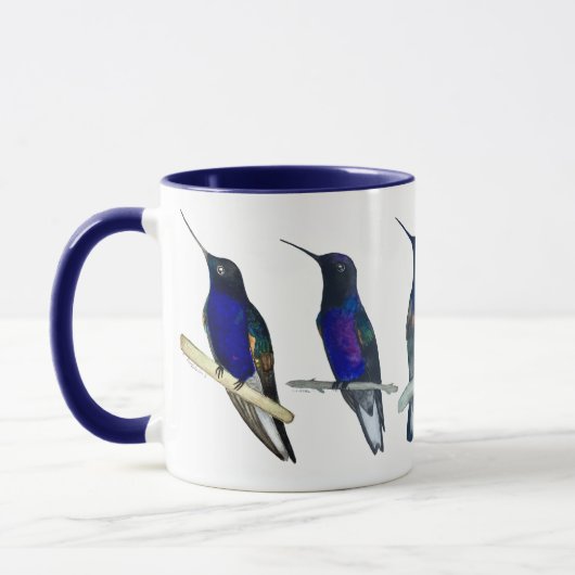 Velvet-Purple Coronet Kolibrie Mok (Links)