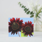 Velvet Queen Sunflower Briefkaart (Staand voorkant)