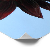 Velvet Queen Sunflower Poster (Hoek)