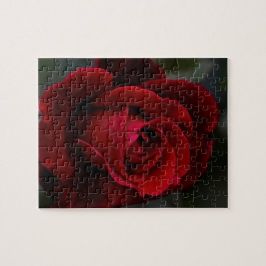 Velvet Red Rose of Romance Legpuzzel (Horizontaal)
