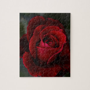 Velvet Red Rose of Romance Legpuzzel