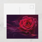 Velvet Roos Briefkaart (Voorkant / Achterkant)