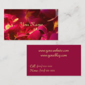 Velvet Visitekaartje (Voorkant / Achterkant)