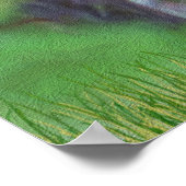 Velvet Whitetail Deer Buck Poster (Hoek)