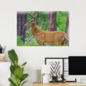 Velvet Whitetail Deer Buck Poster (Thuiskantoor)