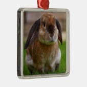 Velveteen Lop Bunny Rabbit Metalen Ornament (Rechts)