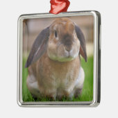 Velveteen Lop Bunny Rabbit Metalen Ornament (Links)
