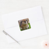 Velveteen Lop Bunny Rabbit Vierkante Sticker (Envelop)