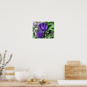 Velvety Paars Bearded Iris Flower Poster (Keuken)