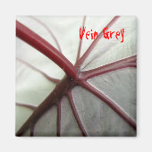 Vena Grey Magneet (Voorkant)