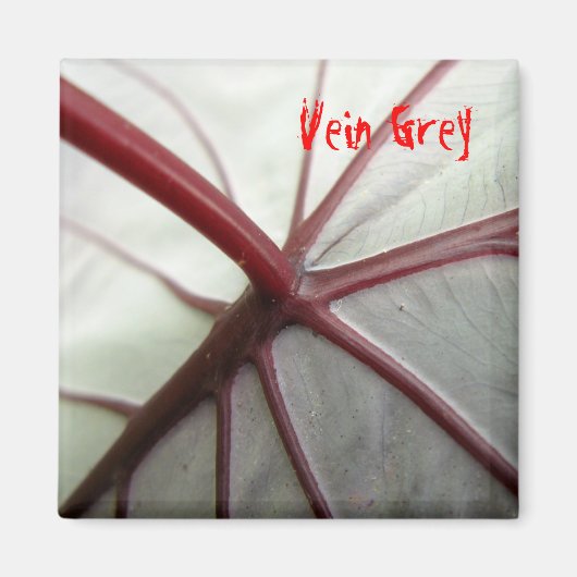 Vena Grey Magneet (Voorkant)