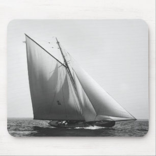 Vencedor: 1897 muismat