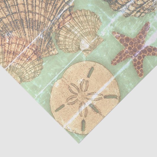 Vendredi Seashells Tissuepapier (Detail)