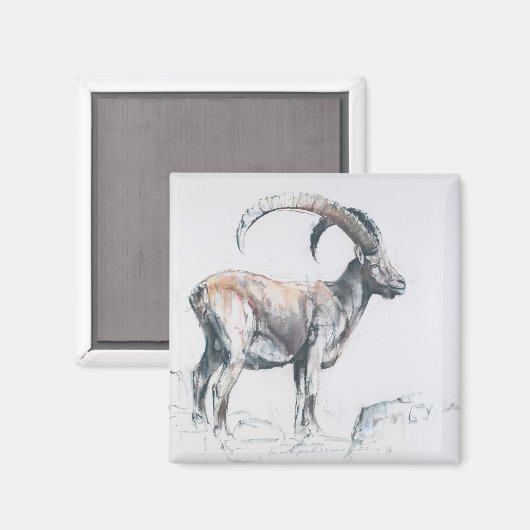 Venerando Stambecco 2006 Magneet (Voorkant / Achterkant)