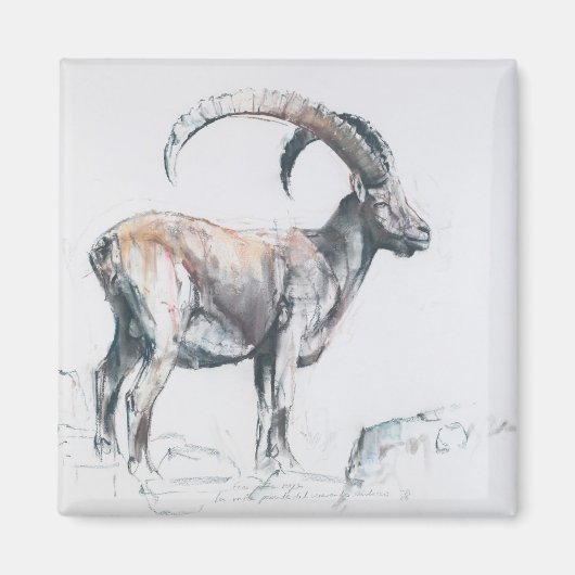 Venerando Stambecco 2006 Magneet (Voorkant)