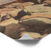 Venetië, Florida - Vist Scene op de Jetties Poster (Hoek)