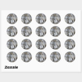 Venetië Leeuw Ronde Sticker (Vel)