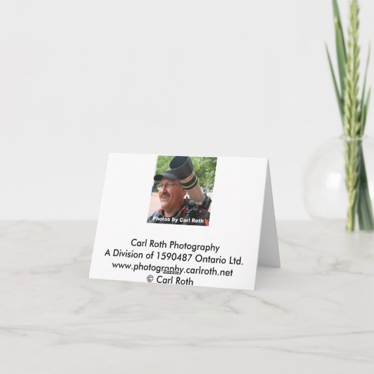 Venetië - Luxe & Wasserij Kaart (Achterkant)