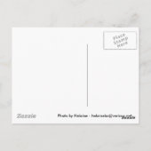 Venetië van Helaine Briefkaart (Achterkant)