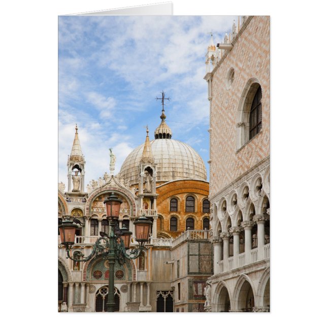 Venetië, Veneto, Italië - Vogels worden op een (Voorkant)