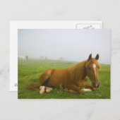 veneto italië 2 briefkaart (Voorkant / Achterkant)