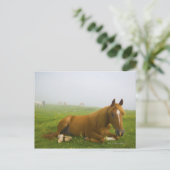 veneto italië 2 briefkaart (Staand voorkant)