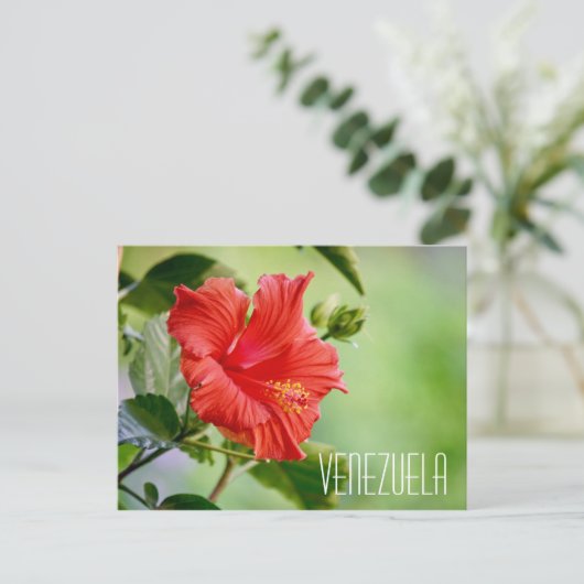 Venezolaanse hibiscus briefkaart (Staand voorkant)