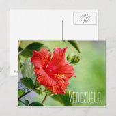 Venezolaanse hibiscus briefkaart (Voorkant / Achterkant)