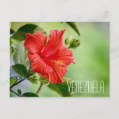 Venezolaanse hibiscus briefkaart (Voorkant)
