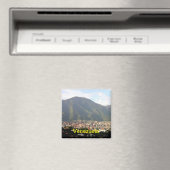 Venezolaanse magneet (Insitu (Vaatwasser))