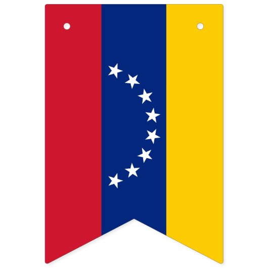 Venezolaanse vlag en Venezolaanse banners/bruiloft Vlaggetjes (Tweede vlag)