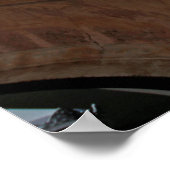 Venezolaanse vlag poster (Hoek)