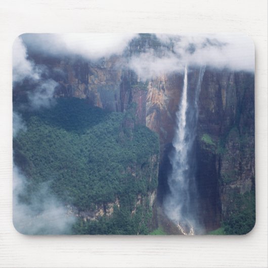 Venezuela, Angel-Herfsten, Nationaal Park Canaima Muismat (Voorkant)