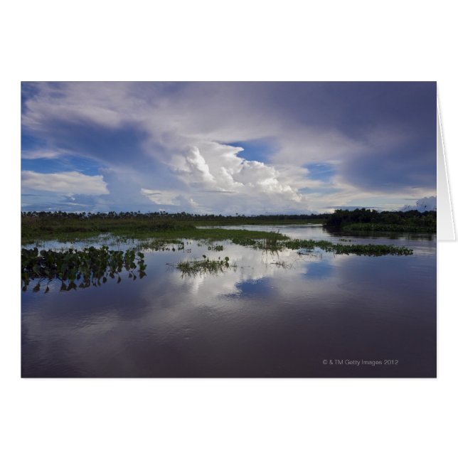 Venezuela, Delta Amacuro, Orinoco Delta (Voorkant Horizontaal)