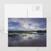 Venezuela, Delta Amacuro, Orinoco Delta Briefkaart (Voorkant / Achterkant)