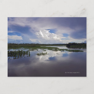 Venezuela, Delta Amacuro, Orinoco Delta Briefkaart