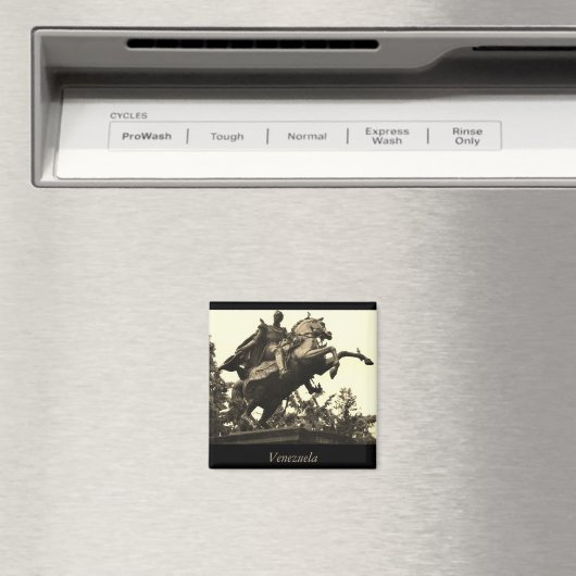 Venezuela Magneet (Insitu (Vaatwasser))