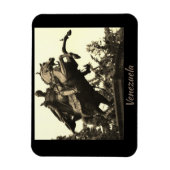 Venezuela Magneet (Verticaal)