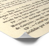 Venezuela Poster (Hoek)