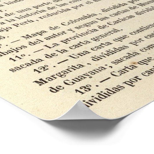 Venezuela Poster (Hoek)