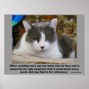 vengeful Grumpy kat met Charlotte Gray Quote Poster