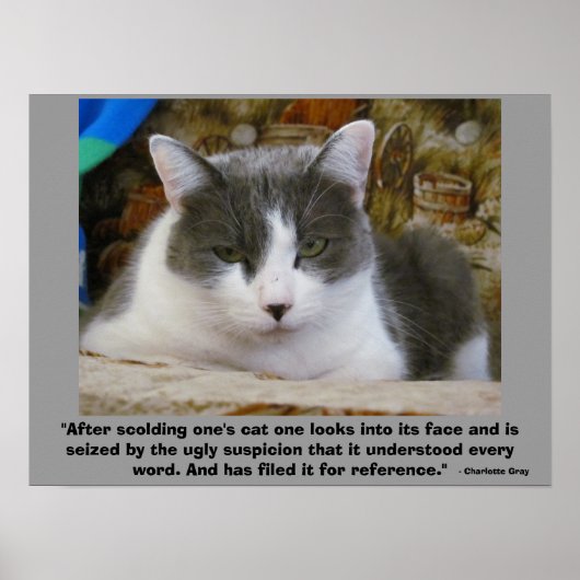 vengeful Grumpy kat met Charlotte Gray Quote Poster (Voorkant)