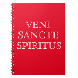 Veni Sancte Spiritus Prayer Journal Notitieboek