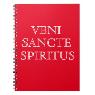 Veni Sancte Spiritus Prayer Journal Notitieboek