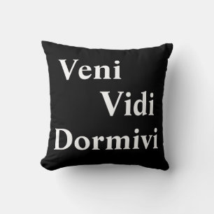 Veni Vidi Dormivi Ik kwam ik zag ik sliep Kussen