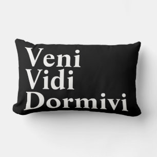 Veni Vidi Dormivi Ik kwam ik zag ik sliep Kussen